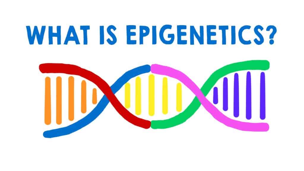Bruce Lipton on epigenetics