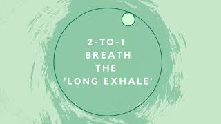 4 minute meditation breathwork 2 to 1 breathing