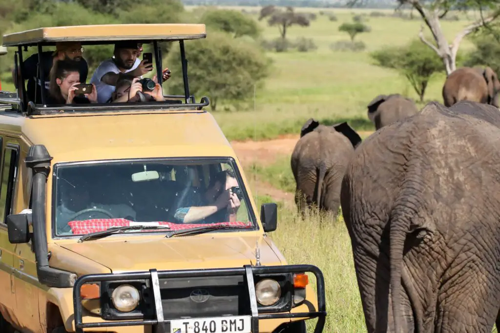 Retreats in Tanzania Serengeti