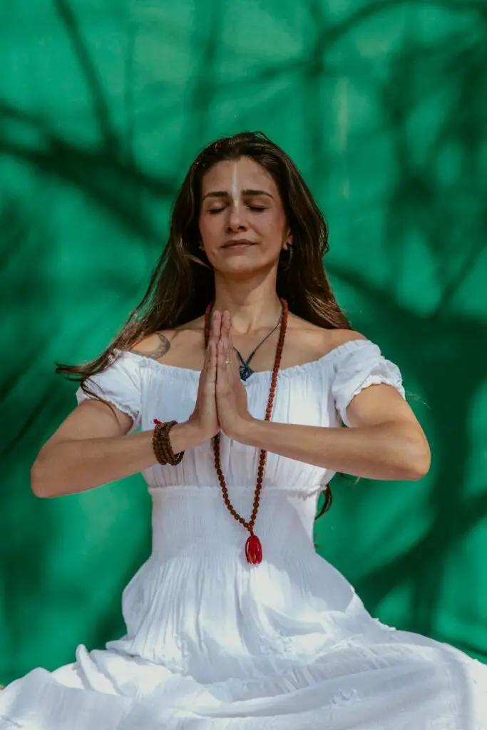 meditation teacher training in india